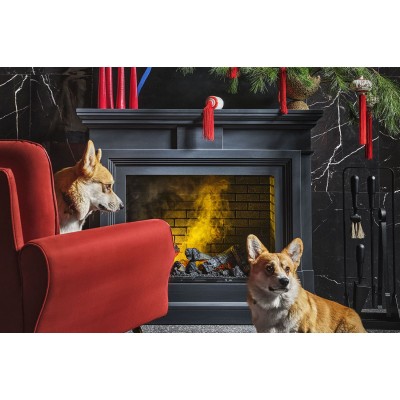 Фото Dimplex Coventry - Белый с очагом Symphony 26 DF2624L-INT