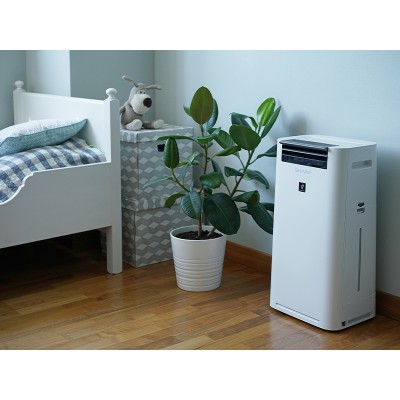 Sharp KC-G41RW очиститель-увлажнитель воздуха Фото Sharp KC-G41RW очиститель-увлажнитель воздуха