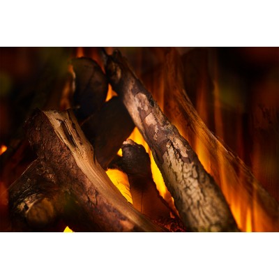 Фото British Fires New Forest 1600 with Deluxe Real logs