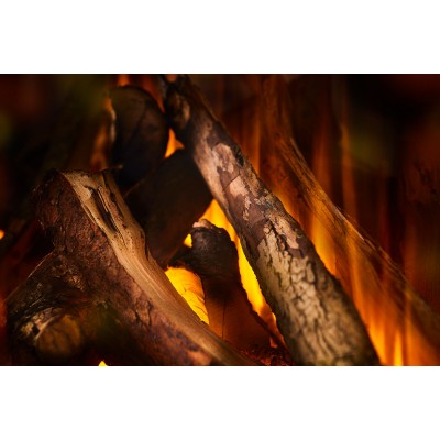 British Fires New Forest 870 with Deluxe Real logs Фото British Fires New Forest 870 with Deluxe Real logs