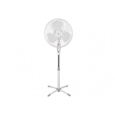 Фото Primera SFP-4103MX