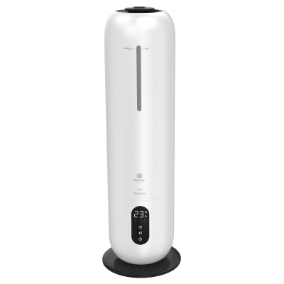 Фото ROYAL CLIMA RUH-RV300/8.0E-WT