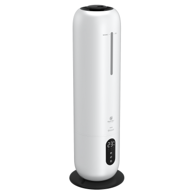Фото ROYAL CLIMA RUH-RV300/8.0E-WT